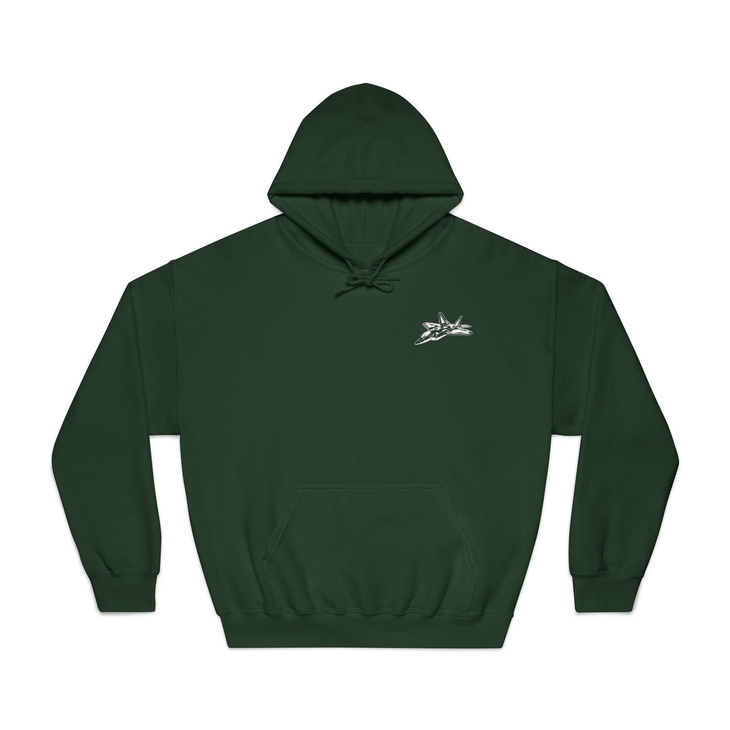 F-22 Raptor Airplane Hoodie